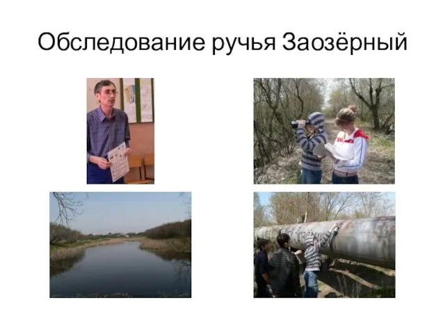 Обследование ручья Заозёрный