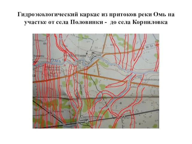 Гидроэкологический каркас из притоков реки Омь на участке от села Половинки - до села Корниловка