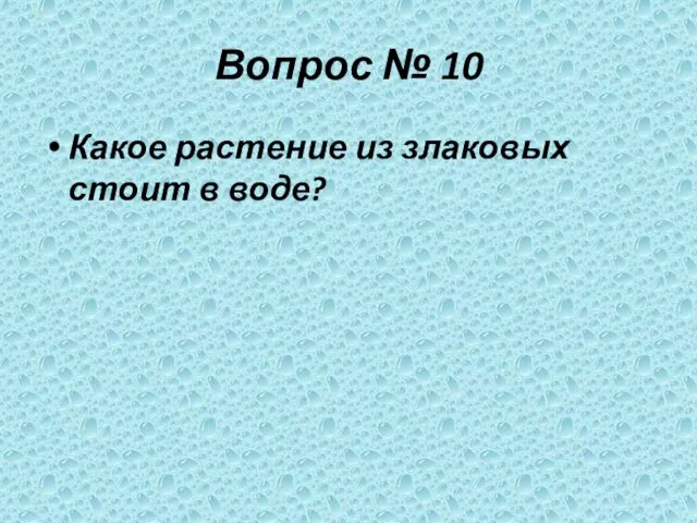 Вопрос № 10 Какое растение из злаковых стоит в воде?