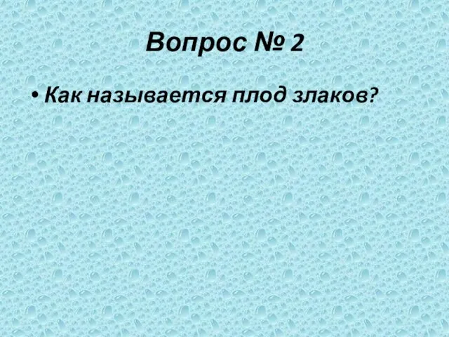 Вопрос № 2 Как называется плод злаков?