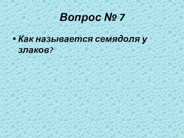 Вопрос № 7 Как называется семядоля у злаков?