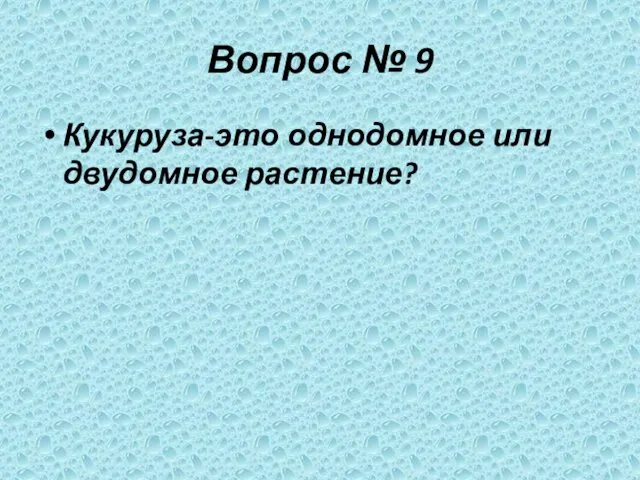 Вопрос № 9 Кукуруза-это однодомное или двудомное растение?