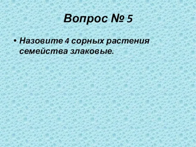 Вопрос № 5 Назовите 4 сорных растения семейства злаковые.