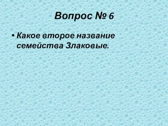 Вопрос № 6 Какое второе название семейства Злаковые.