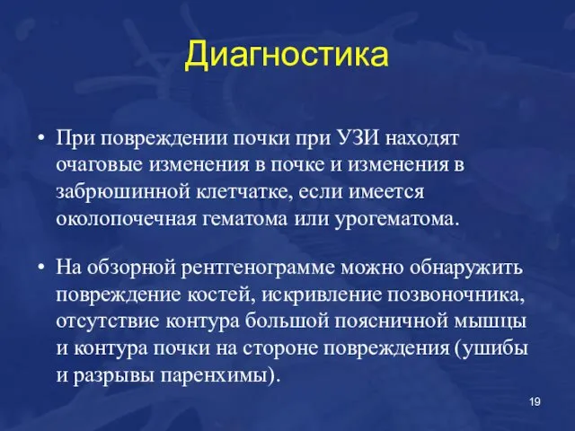 Диагностика При повреждении почки при УЗИ находят очаговые изменения в почке