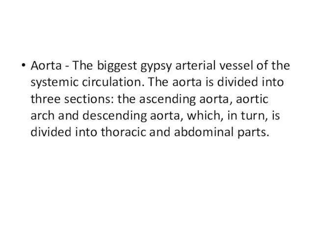 Aorta - The biggest gypsy arterial vessel of the systemic circulation.