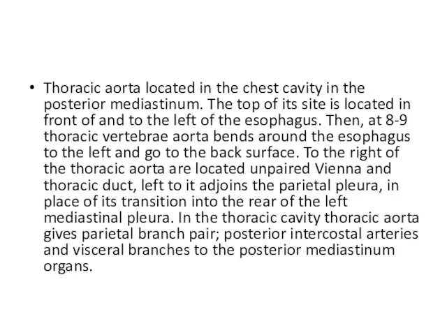 Thoracic aorta located in the chest cavity in the posterior mediastinum.