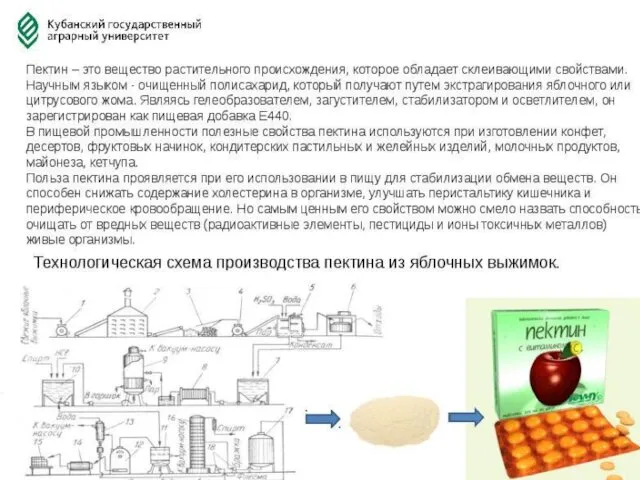 Содержание аскорбиновой кислоты