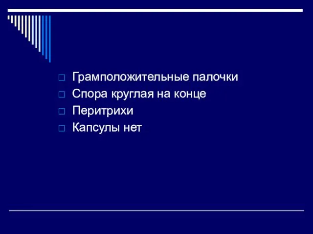 Грамположительные палочки Спора круглая на конце Перитрихи Капсулы нет