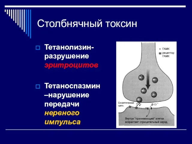 Столбнячный токсин Тетанолизин-разрушение эритроцитов Тетаноспазмин –нарушение передачи нервного импульса