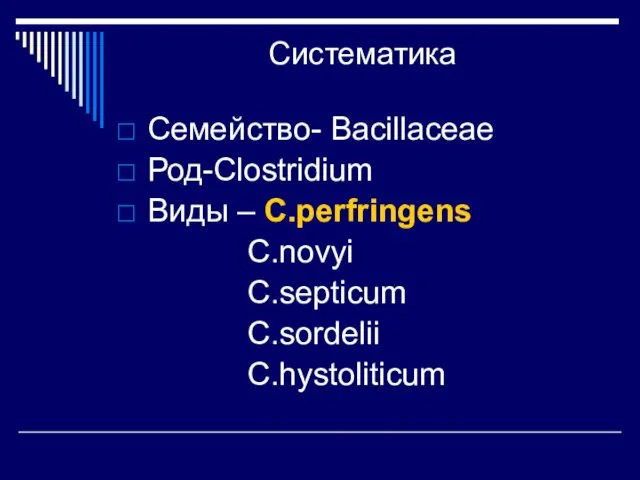 Систематика Семейство- Bacillaceae Род-Clostridium Виды – C.perfringens C.novyi C.septicum C.sordelii C.hystoliticum