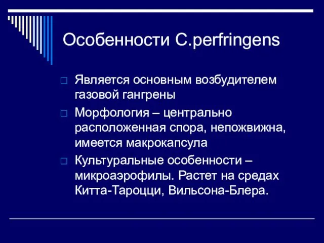 Особенности C.perfringens Является основным возбудителем газовой гангрены Морфология – центрально расположенная