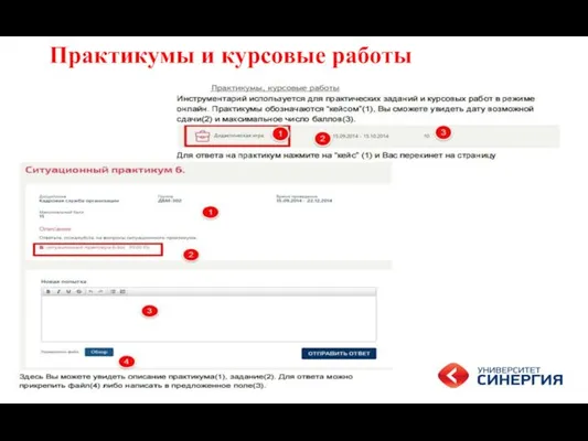 Практикумы и курсовые работы