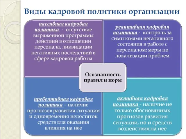 Виды кадровой политики организации