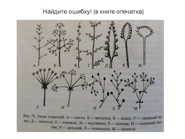 Найдите ошибку! (в книге опечатка)