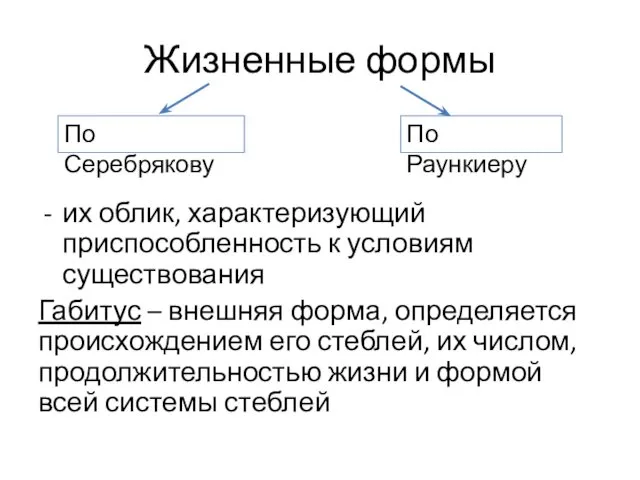 Жизненные формы их облик, характеризующий приспособленность к условиям существования Габитус –