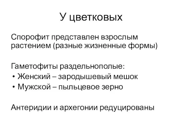 У цветковых Спорофит представлен взрослым растением (разные жизненные формы) Гаметофиты раздельнополые: