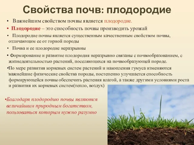 Свойства почв: плодородие Благодаря плодородию почвы являются величайшим природным богатством, пользоваться