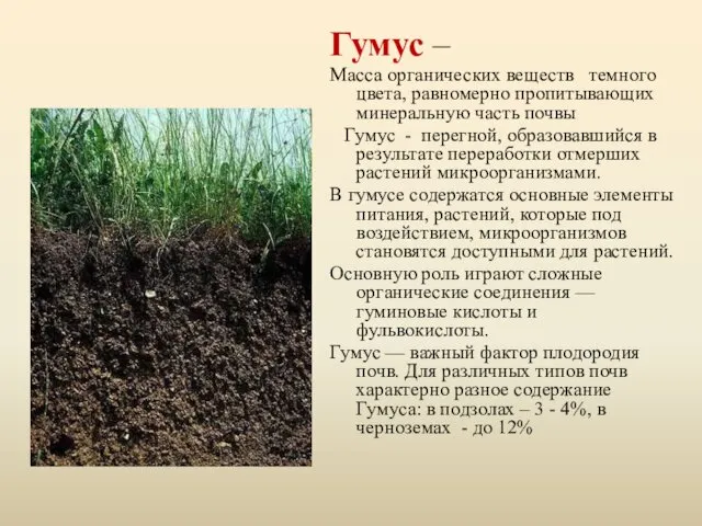 Гумус – Масса органических веществ темного цвета, равномерно пропитывающих минеральную часть