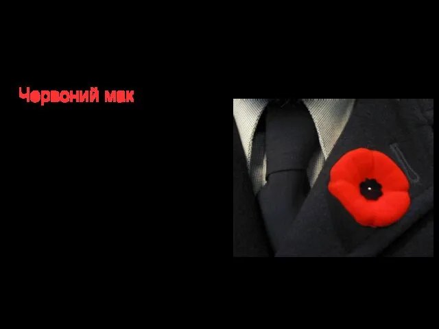 З історії походження символу Червоний мак (англ. Remembrance poppy) — символ