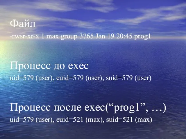 Файл -rwsr-xr-x 1 max group 3765 Jan 19 20:45 prog1 Процесс