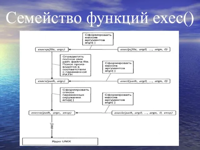 Семейство функций exec()