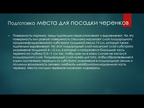 Подготовка места для посадки черенков Поверхность парника, гряды тщательно перелопачивают и