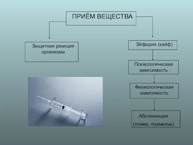 ПРИЁМ ВЕЩЕСТВА Эйфория (кайф) Психологическая зависимость Физиологическая зависимость Абстиненция (ломка, похмелье) Защитная реакция организма