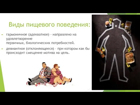 Виды пищевого поведения: гармоничное (адекватное) - направлено на удовлетворение первичных, биологических