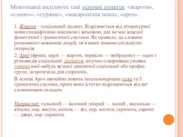 Мовознавці виділяють такі основні поняття: «жаргон», «сленг»», «суржик», «макаронічна мова», «арго».