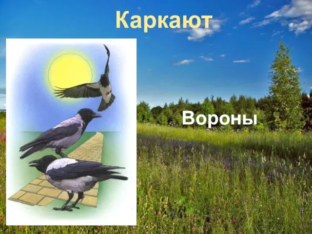 Каркают Вороны