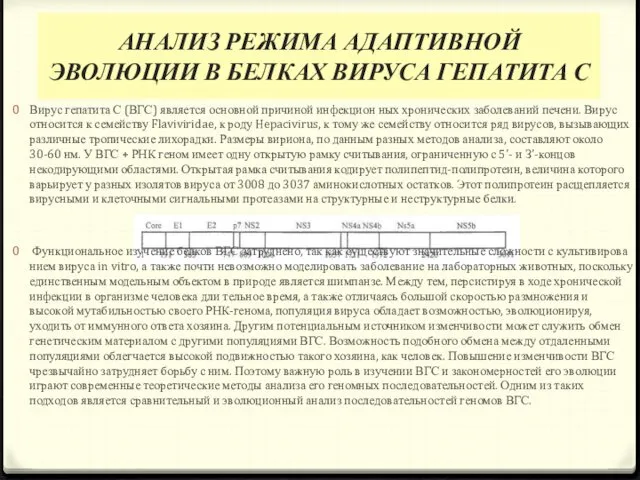 АНАЛИЗ РЕЖИМА АДАПТИВНОЙ ЭВОЛЮЦИИ В БЕЛКАХ ВИРУСА ГЕПАТИТА С Вирус гепатита