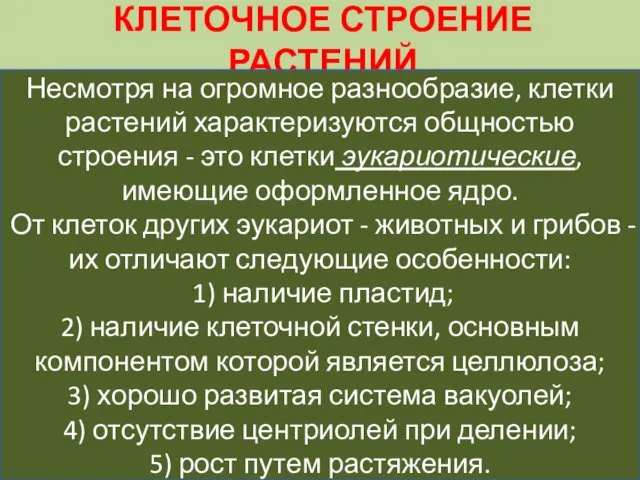 КЛЕТОЧНОЕ СТРОЕНИЕ РАСТЕНИЙ Несмотря на огромное разнообразие, клетки растений характеризуются общностью