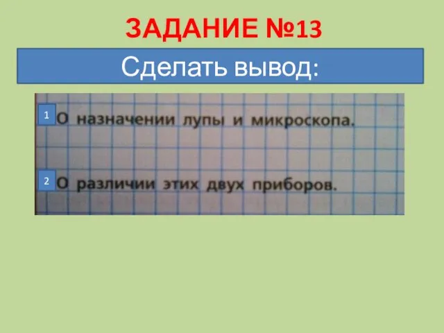 ЗАДАНИЕ №13 1 2 Сделать вывод: