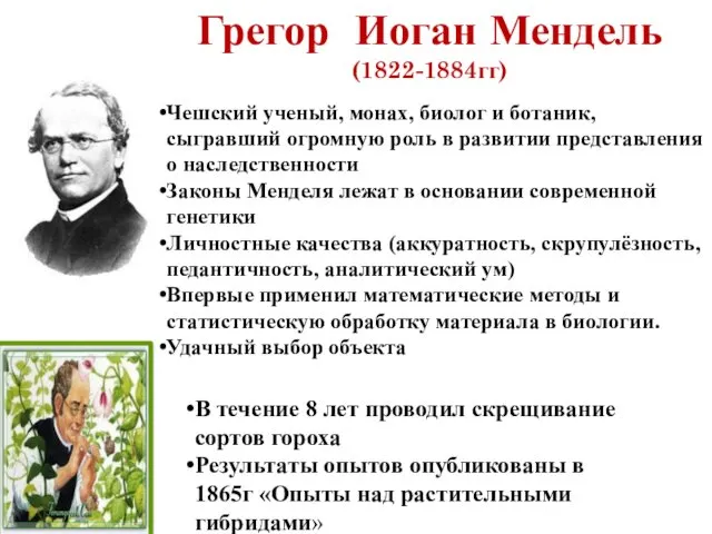 Грегор Иоган Мендель (1822-1884гг) Чешский ученый, монах, биолог и ботаник, сыгравший