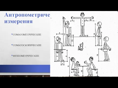 Антропометрические измерения СОМАТОМЕТРИЧЕСКИЕ СОМАТОСКОПИЧЕСКИЕ ФИЗЕОМЕТРИЧЕСКИЕ