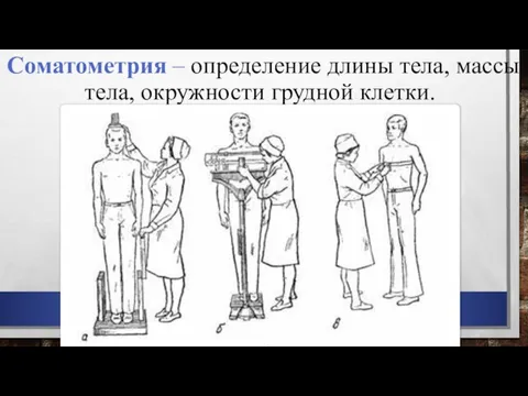 Соматометрия – определение длины тела, массы тела, окружности грудной клетки.