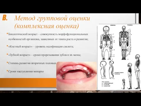 Метод групповой оценки (комплексная оценка) Биологический возраст – совокупность морфофункциональных особенностей