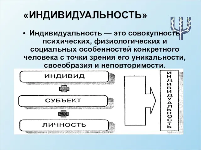 Индивидуальность — это совокупность психических, физиологических и социальных особенностей конкретного человека