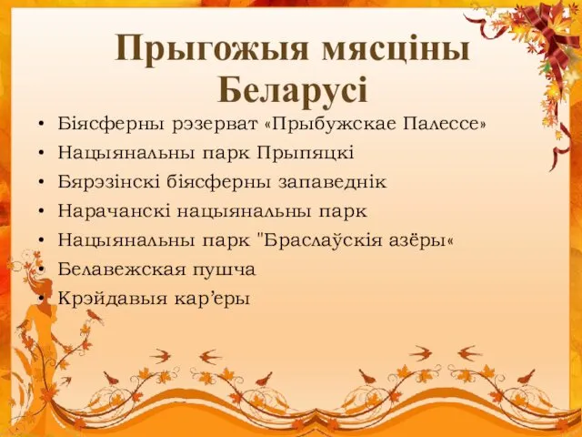 Біясферны рэзерват «Прыбужскае Палессе» Нацыянальны парк Прыпяцкі Бярэзінскі біясферны запаведнік Нарачанскі