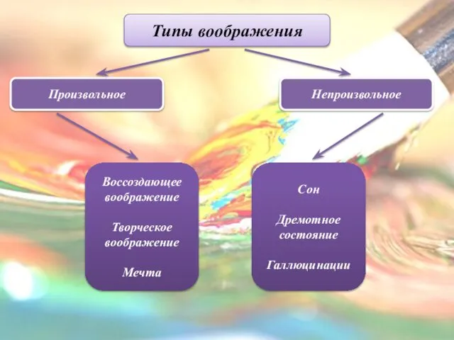 Типы воображения Сон Дремотное состояние Галлюцинации Воссоздающее воображение Творческое воображение Мечта Непроизвольное Произвольное