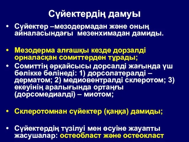 Сүйектердің дамуы Сүйектер –мезодермадан және оның айналасындағы мезенхимадан дамиды. Мезодерма алғашқы