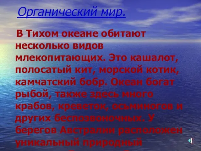 Органический мир. В Тихом океане обитают несколько видов млекопитающих. Это кашалот,