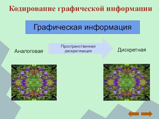 Кодирование графической информации Аналоговая Дискретная Пространственная дискретизация Графическая информация