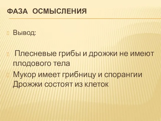 ФАЗА ОСМЫСЛЕНИЯ Вывод: Плесневые грибы и дрожжи не имеют плодового тела