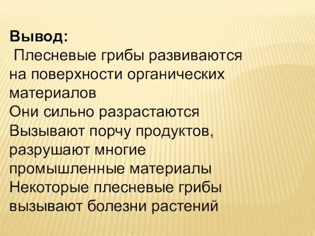 Вывод: Плесневые грибы развиваются на поверхности органических материалов Они сильно разрастаются