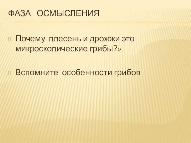 ФАЗА ОСМЫСЛЕНИЯ Почему плесень и дрожжи это микроскопические грибы?» Вспомните особенности грибов