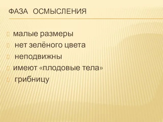 ФАЗА ОСМЫСЛЕНИЯ малые размеры нет зелёного цвета неподвижны имеют «плодовые тела» грибницу