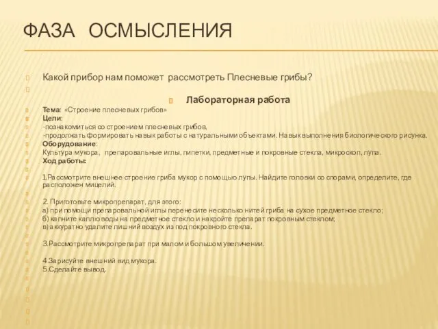 ФАЗА ОСМЫСЛЕНИЯ Какой прибор нам поможет рассмотреть Плесневые грибы? Лабораторная работа