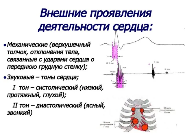 Внешние проявления деятельности сердца: Механические (верхушечный толчок, отклонения тела, связанные с